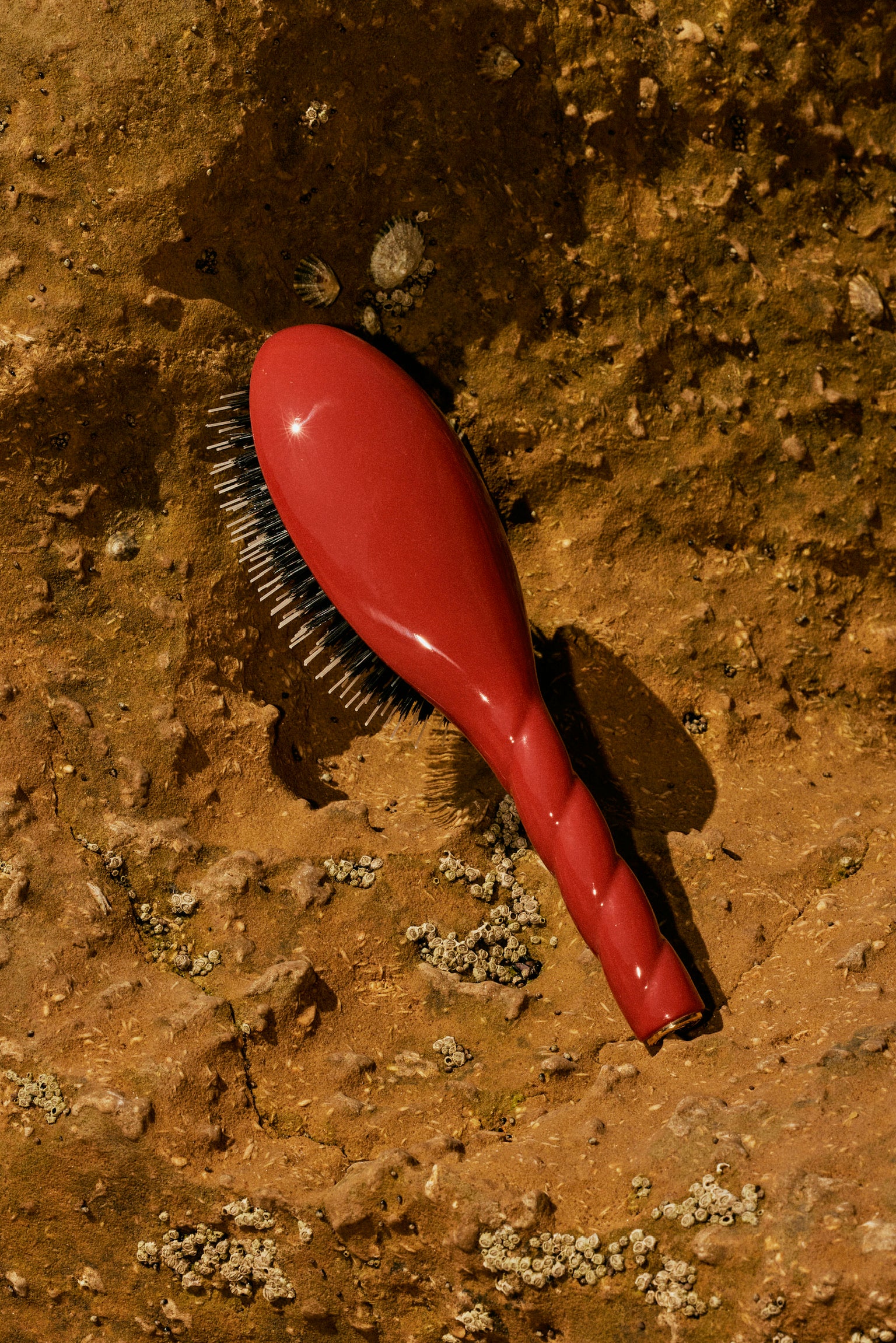 Miniature 5